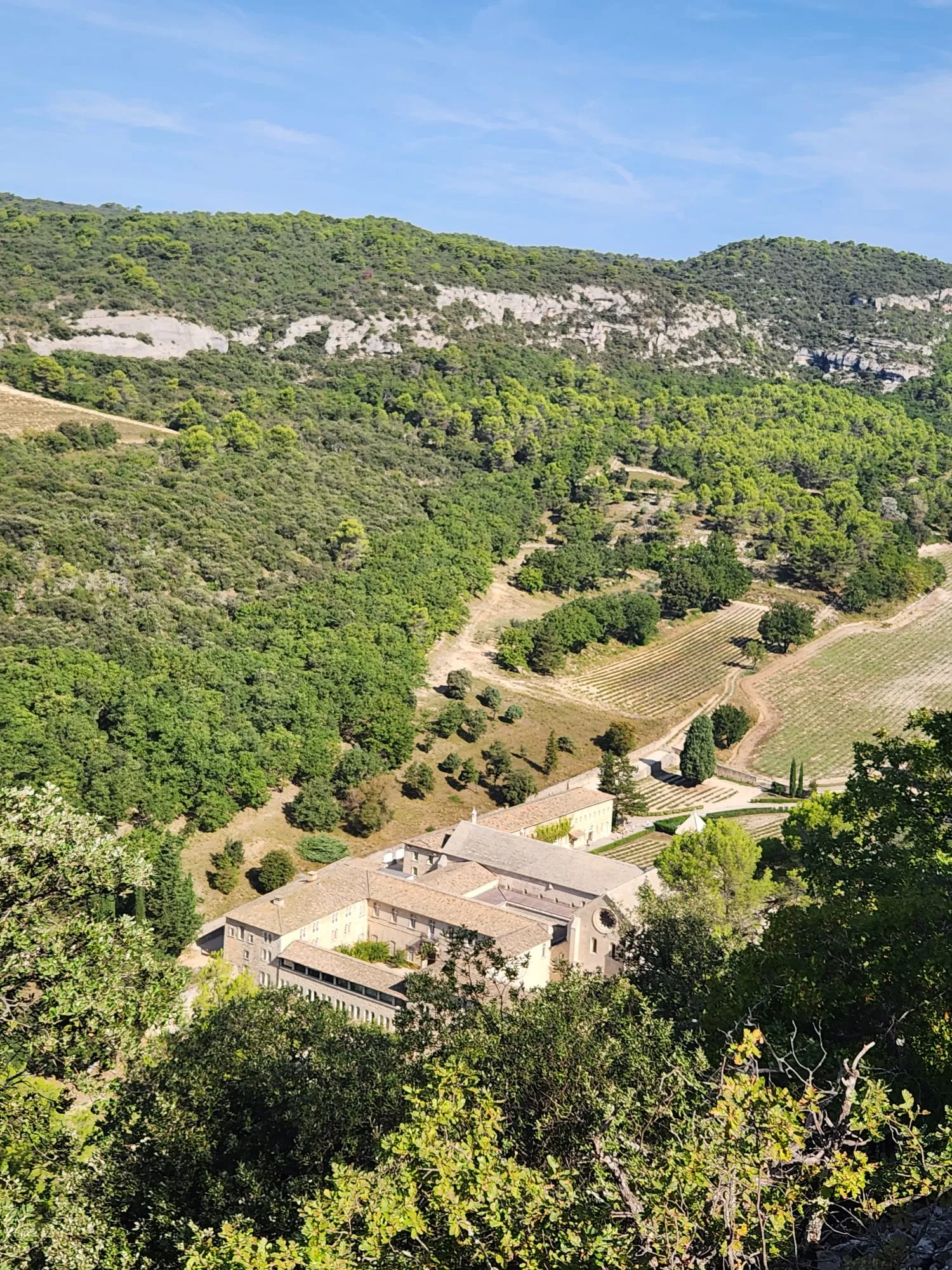 Une abbaye de pierre au fond d'un vallon boisé, vue d'en haut, avec des rangs de culture sur le versant