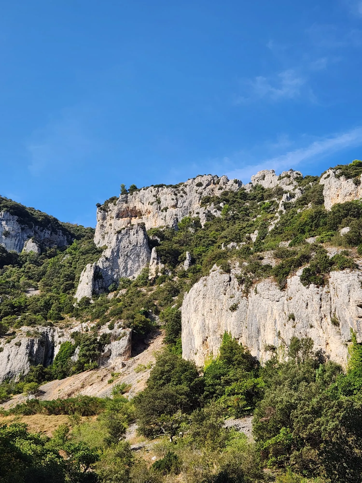 Des falaises et des crêtes de calcaire clair piquées de pins et de chênes verts, sous un ciel bleu