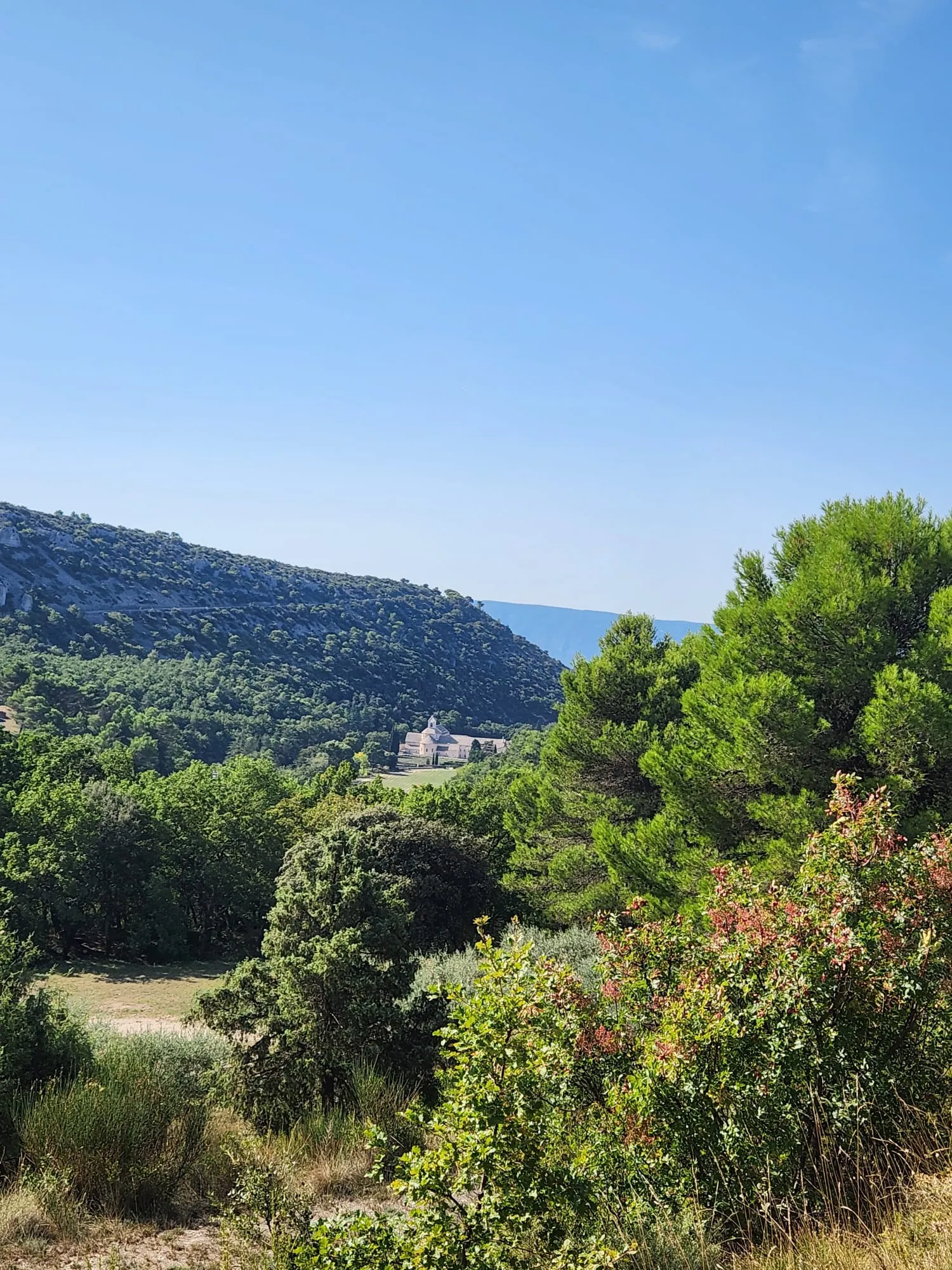 Un vallon couvert de chênes verts et de pins, une bâtisse claire au loin entre les arbres, et une longue crête à l'horizon